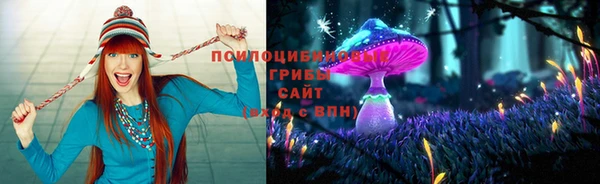а пвп мука Абаза
