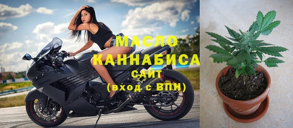 индика Абдулино