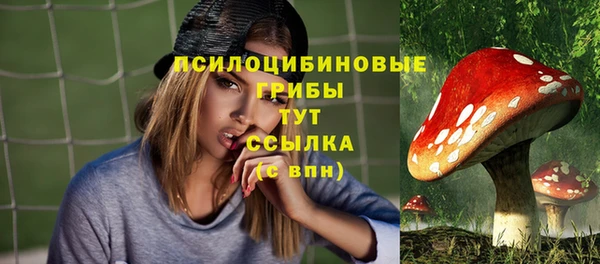 а пвп мука Абаза