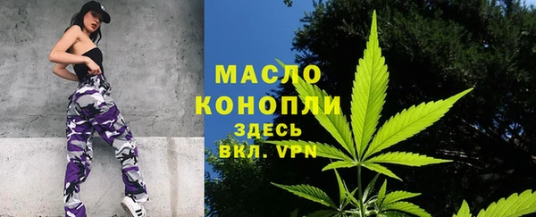 индика Абдулино