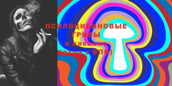а пвп мука Абаза